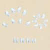 12 Sizes-24 Pcs Press On Nails Y996