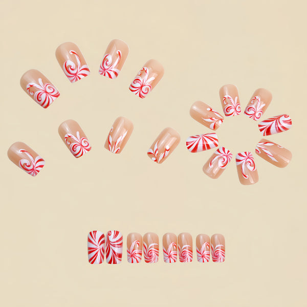 12 Sizes-24 Pcs Press On Nails Y1307