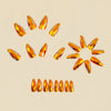 12 Sizes-24 Pcs Press On Nails Y1610