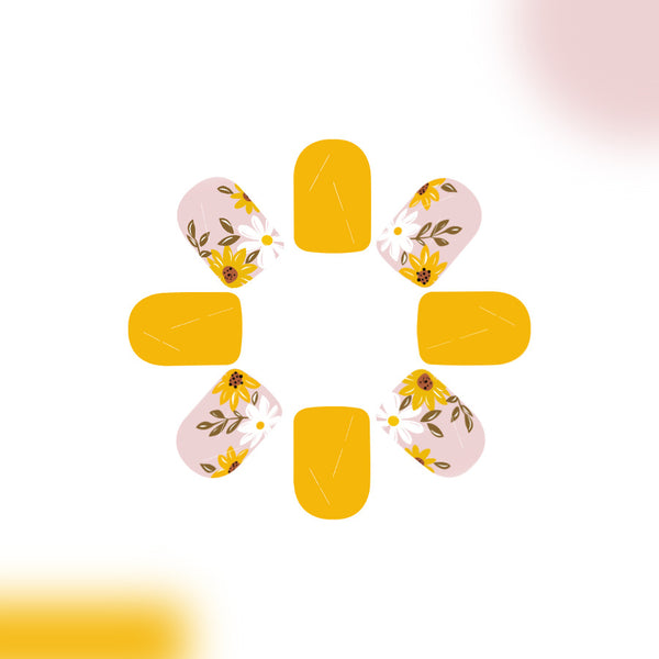 12 Sizes-24 PcsPress On Nails C803