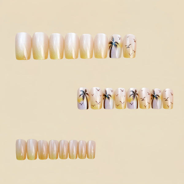 12 Sizes-24 Pcs Press On Nails Y1388