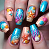 12 Sizes-24 Pcs Press On Nails Y897