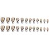 12 Sizes-24 PcsPress On Nails DY1588-B7