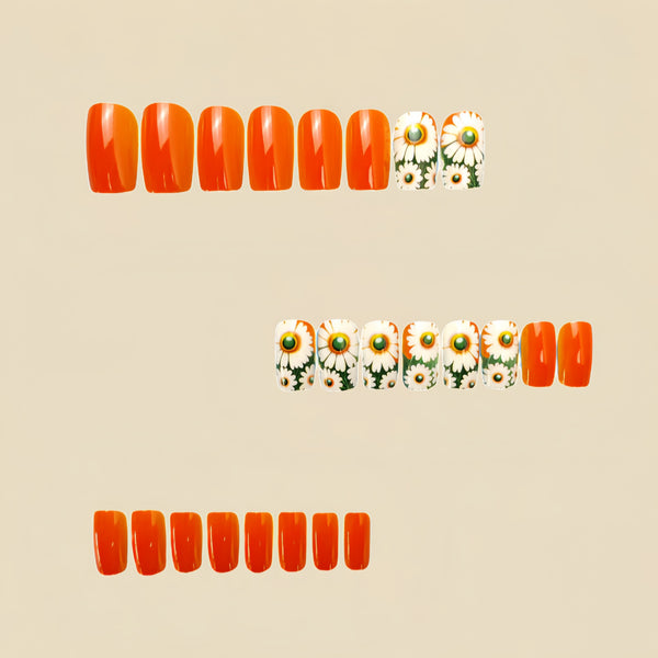 12 Sizes-24 Pcs Press On Nails Y543