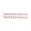 12 Sizes-24 Pcs Press On Nails R853