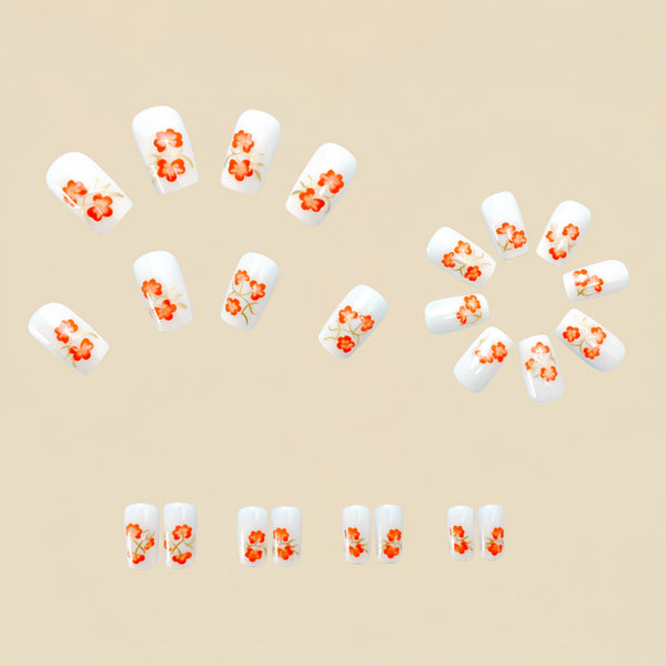 12 Sizes-24 Pcs Press On Nails Y530