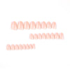 12 Sizes-24 Pcs Press On Nails JP2329