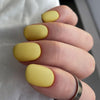 12 Sizes-24 Pcs Press On Nails JP3167