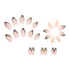 12 Sizes-24 Pcs Press On Nails W238