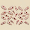 12 Sizes-24 Pcs Press On Nails Y1751