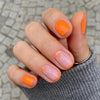 12 Sizes-24 Pcs Press On Nails JP1493