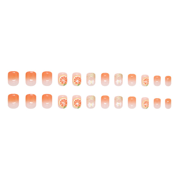 12 Sizes-24 Pcs Press On Nails R943