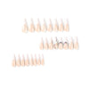 12 Sizes-24 Pcs Press On Nails JP2453