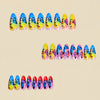 12 Sizes-24 Pcs Press On Nails Y1882