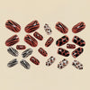 12 Sizes-24 Pcs Press On Nails Y1556
