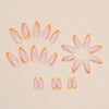 12 Sizes-24 Pcs Press On Nails W624