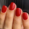 12 Sizes-24 Pcs Press On Nails C1804