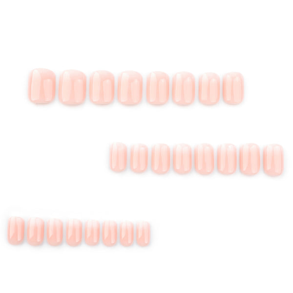 12 Sizes-24 Pcs Press On Nails JP3575