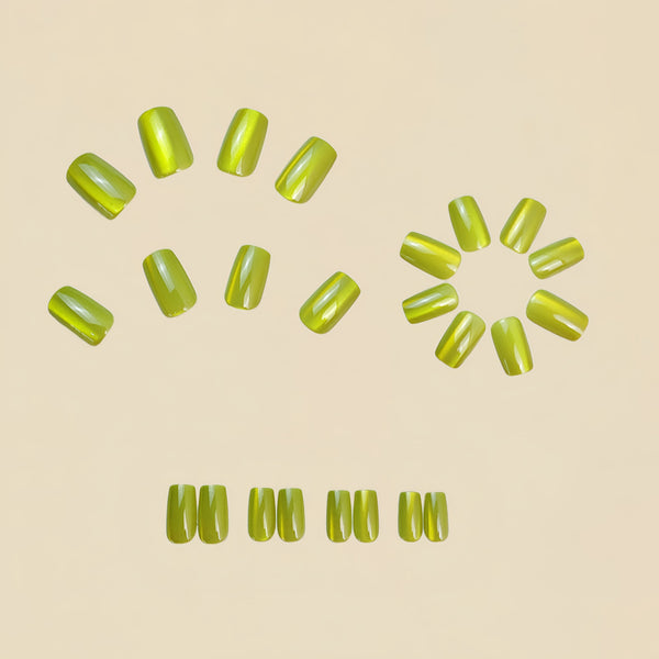 12 Sizes-24 Pcs Press On Nails Y819