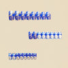 12 Sizes-24 Pcs Press On Nails Y582