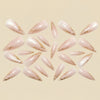 12 Sizes-24 Pcs Press On Nails Y1805