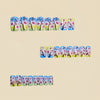 12 Sizes-24 Pcs Press On Nails Y1772