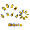 12 Sizes-24 Pcs Press On Nails Y1958