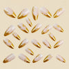 12 Sizes-24 Pcs Press On Nails y2042-24