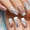 12 Sizes-24 Pcs Press On Nails Y915