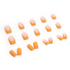 12 Sizes-24 Pcs Press On Nails W177