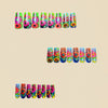 12 Sizes-24 Pcs Press On Nails Y590
