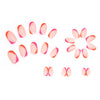 12 Sizes-24 Pcs Press On Nails W188