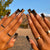12 Sizes-24 Pcs Press On Nails JP1401