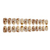 12 Sizes-24 Pcs Press On Nails JB1313