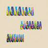 12 Sizes-24 Pcs Press On Nails Y1479