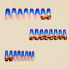 12 Sizes-24 Pcs Press On Nails Y1260
