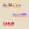 12 Sizes-24 Pcs Press On Nails Y703