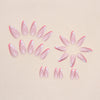 12 Sizes-24 Pcs Press On Nails W857