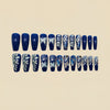 12 Sizes-24 Pcs Press On Nails Y1534