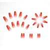 12 Sizes-24 Pcs Press On Nails W190