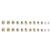 12 Sizes-24 Pcs Press On Nails W1073