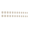 12 Sizes-24 Pcs Press On Nails CF029
