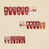 12 Sizes-24 Pcs Press On Nails Y1198