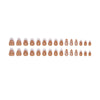 12 Sizes-24 Pcs Press On Nails W1685
