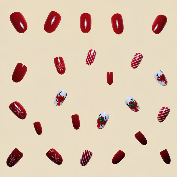 12 Sizes-24 Pcs Press On Nails Y282