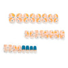 12 Sizes-24 Pcs Press On Nails JP2883