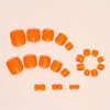 12 Sizes-24 Pcs Press On Nails F067