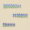 12 Sizes-24 Pcs Press On Nails Y625