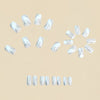 12 Sizes-24 Pcs Press On Nails Y996-2