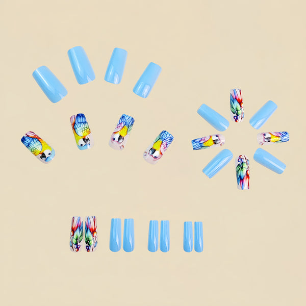 12 Sizes-24 Pcs Press On Nails Y776